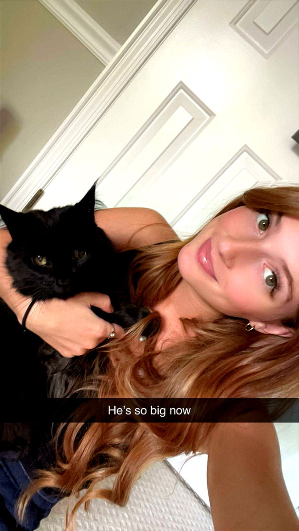 carmmieecat image ~ Altpins