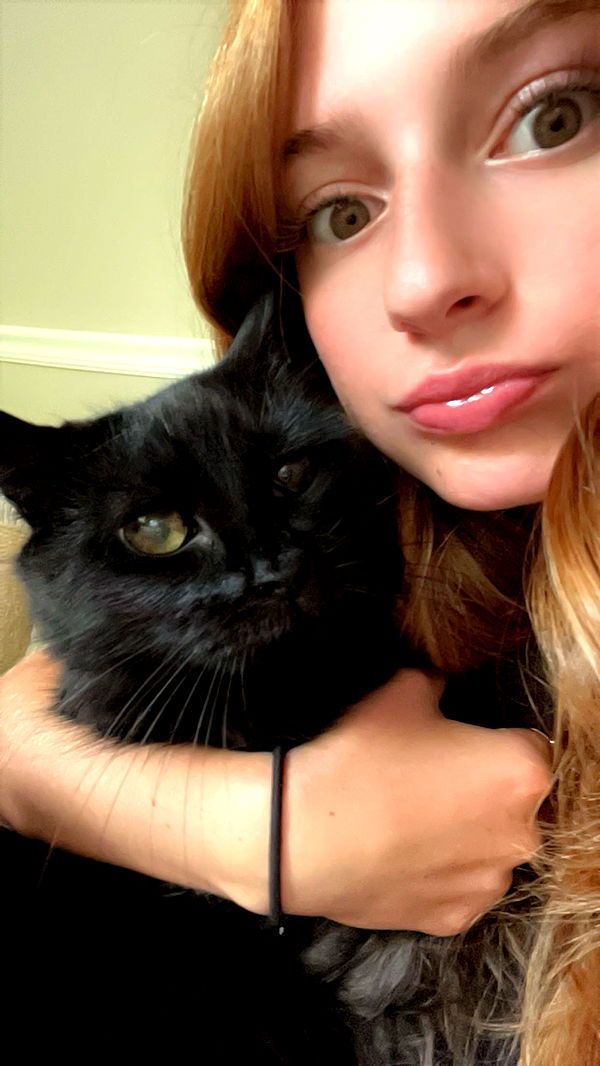 carmmieecat image ~ Altpins