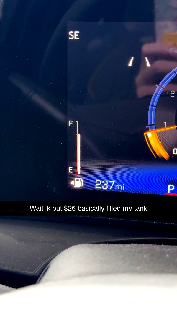 carmmieecat image ~ Altpins