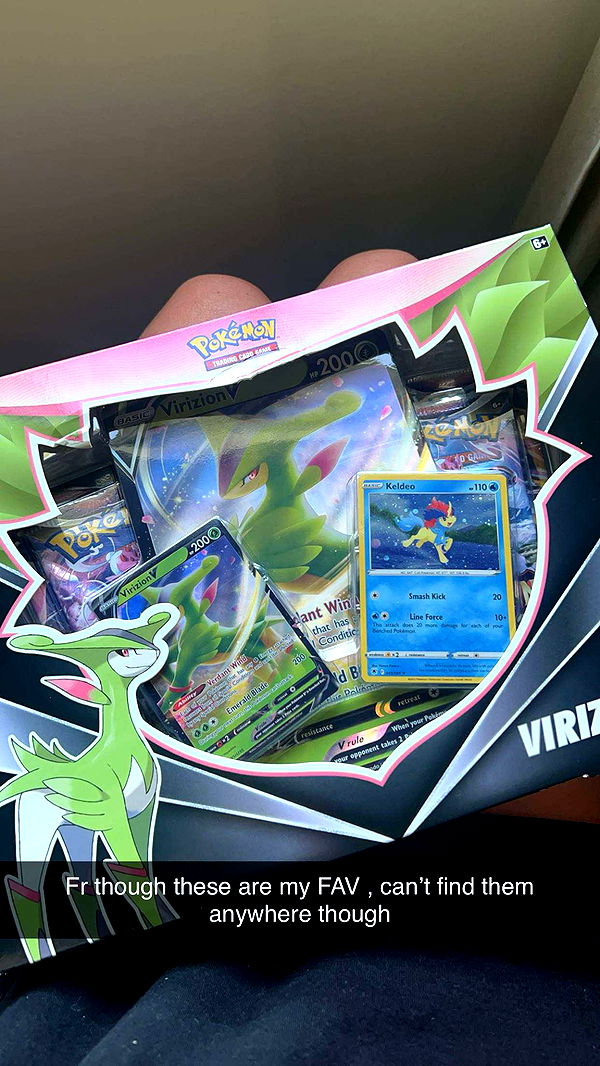 carmmieecat image ~ Altpins