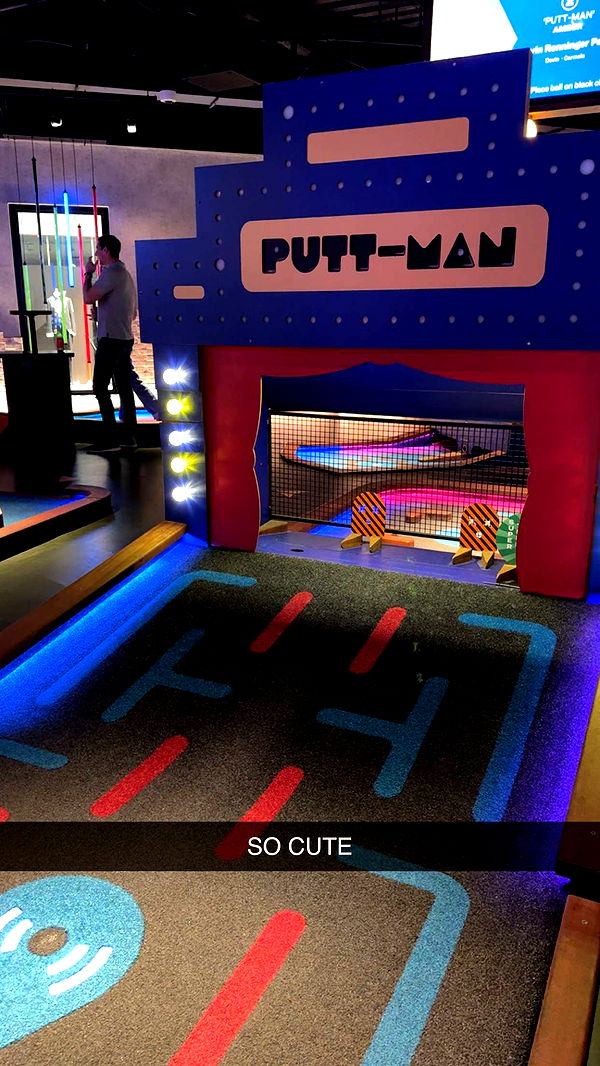 carmmieecat image ~ Altpins