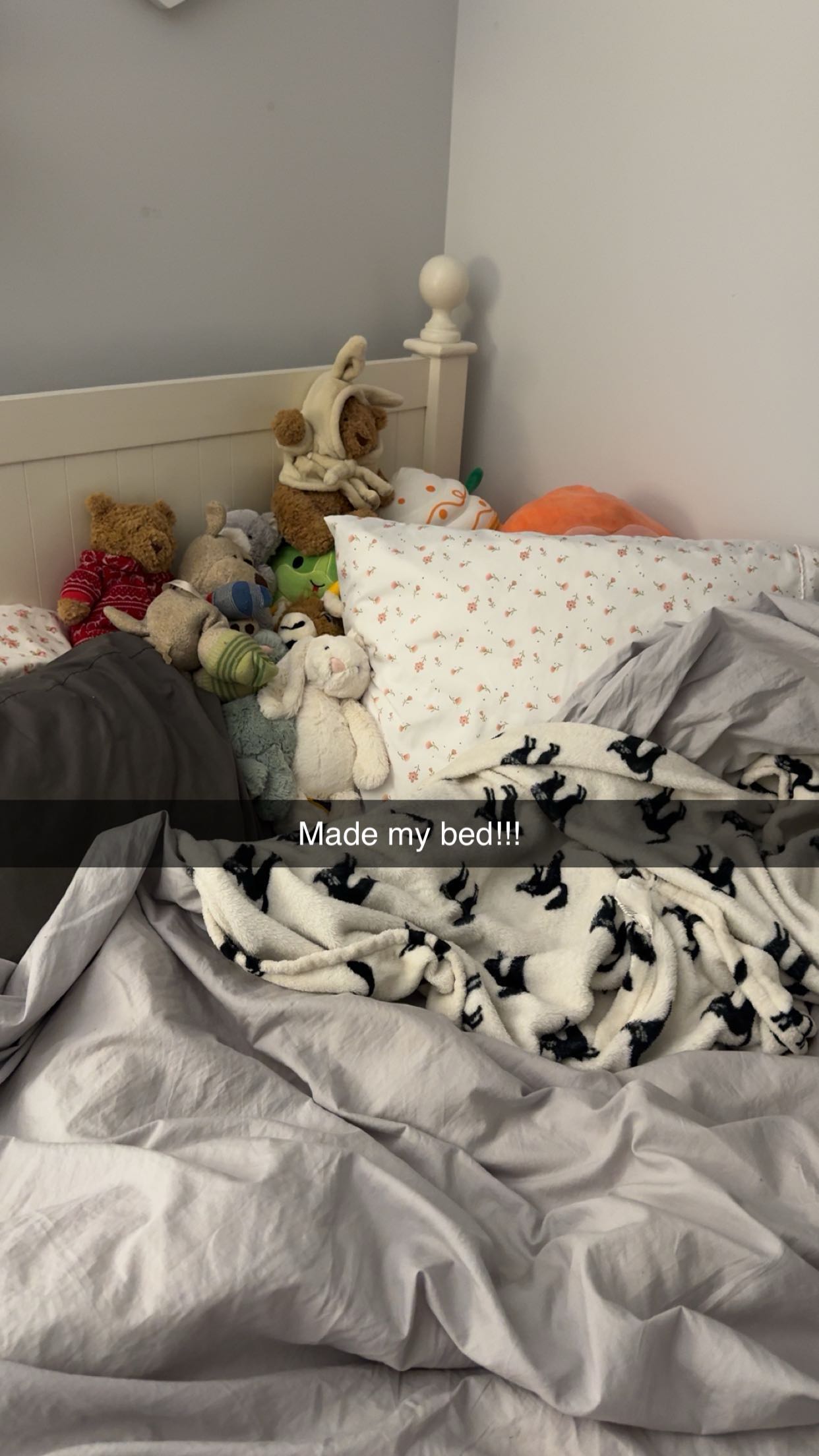 carmmieecat snapchat image archive image