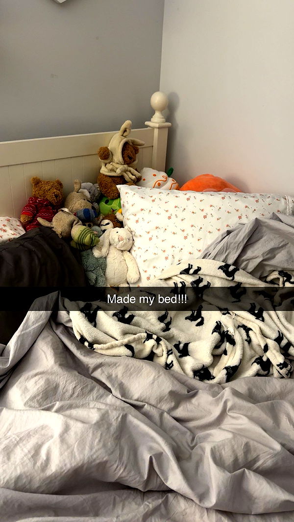 carmmieecat image ~ Altpins