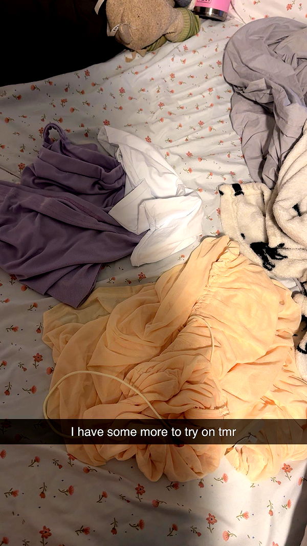 carmmieecat image ~ Altpins