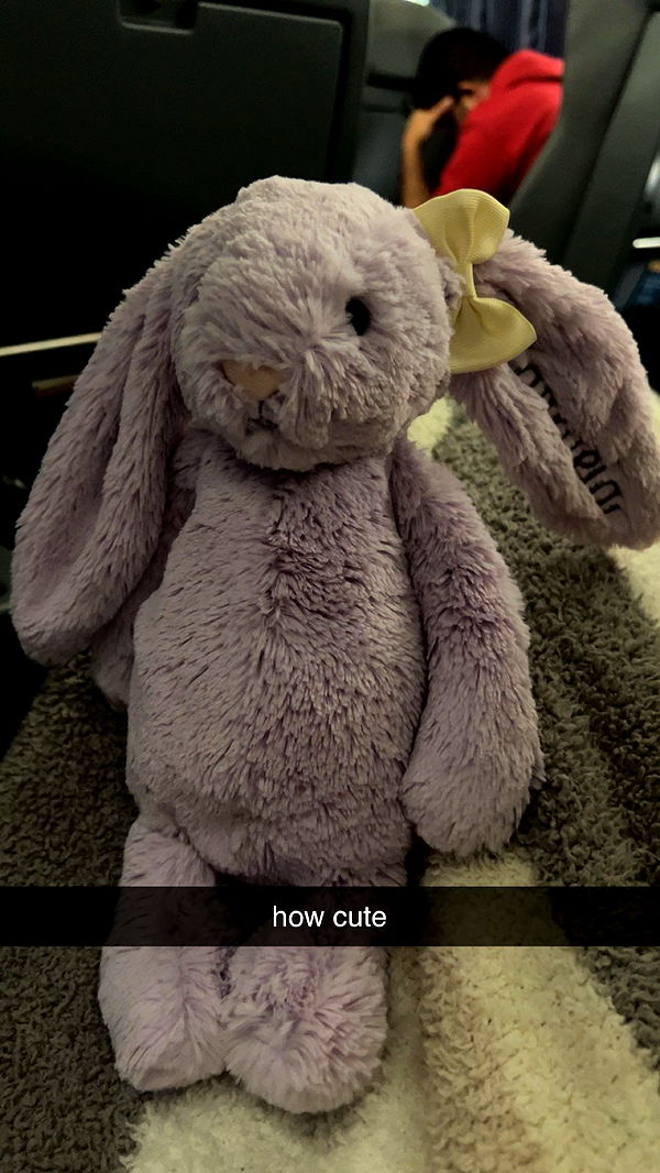 carmmieecat image ~ Altpins