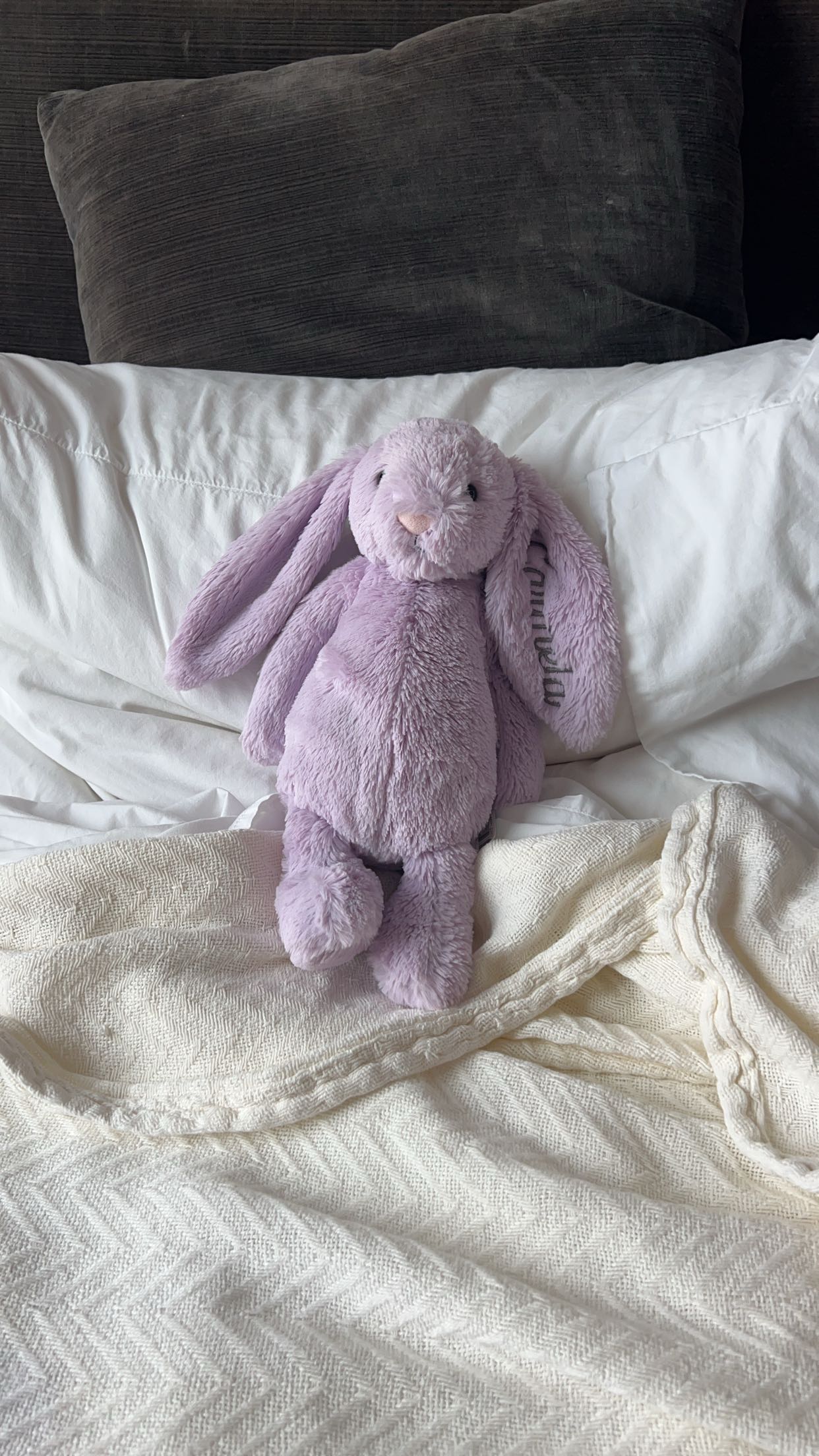 carmmieecat snapchat image archive image