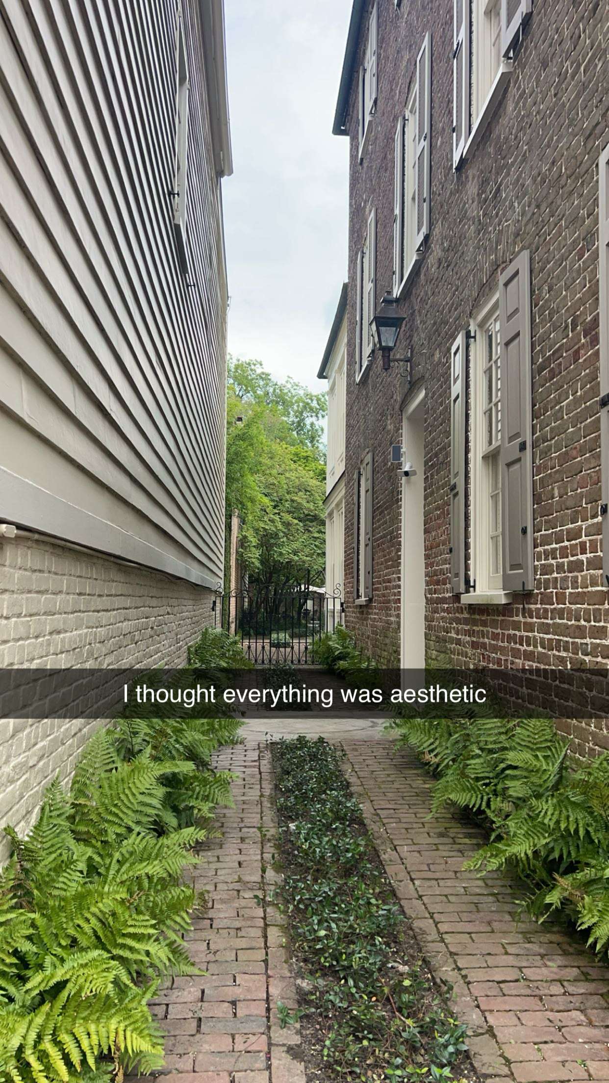 carmmieecat snapchat image archive image