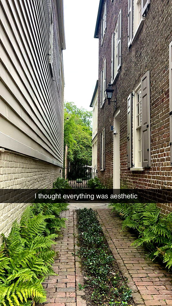 carmmieecat image ~ Altpins