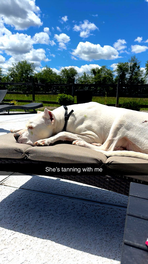 carmmieecat image ~ Altpins