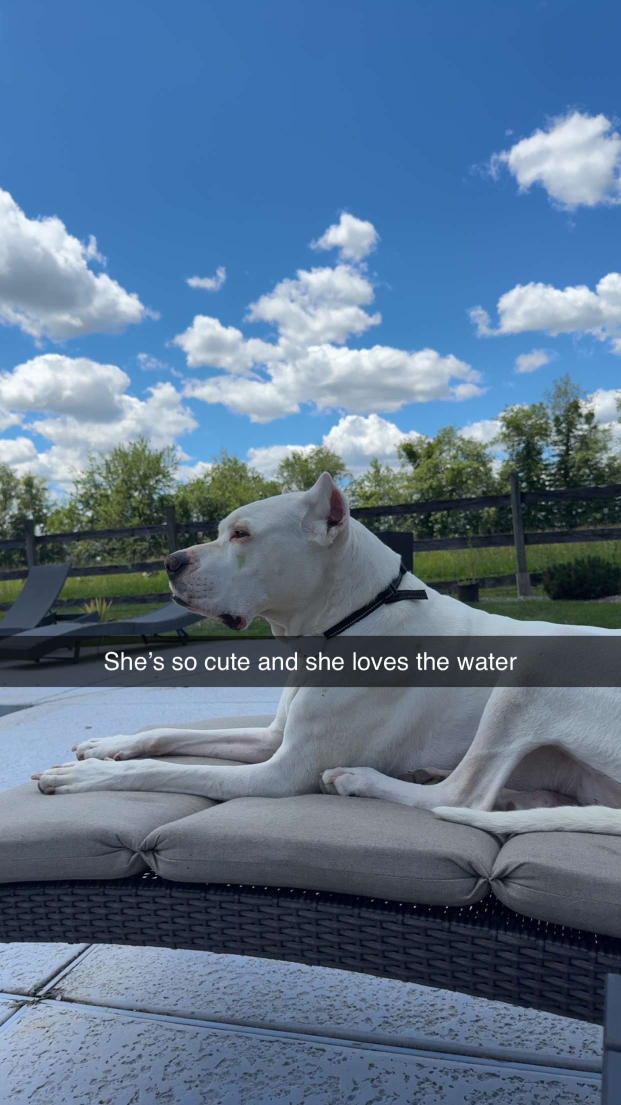 carmmieecat snapchat image archive image