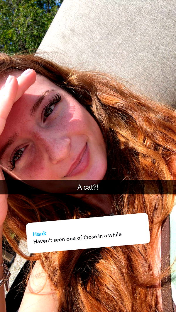 carmmieecat image ~ Altpins