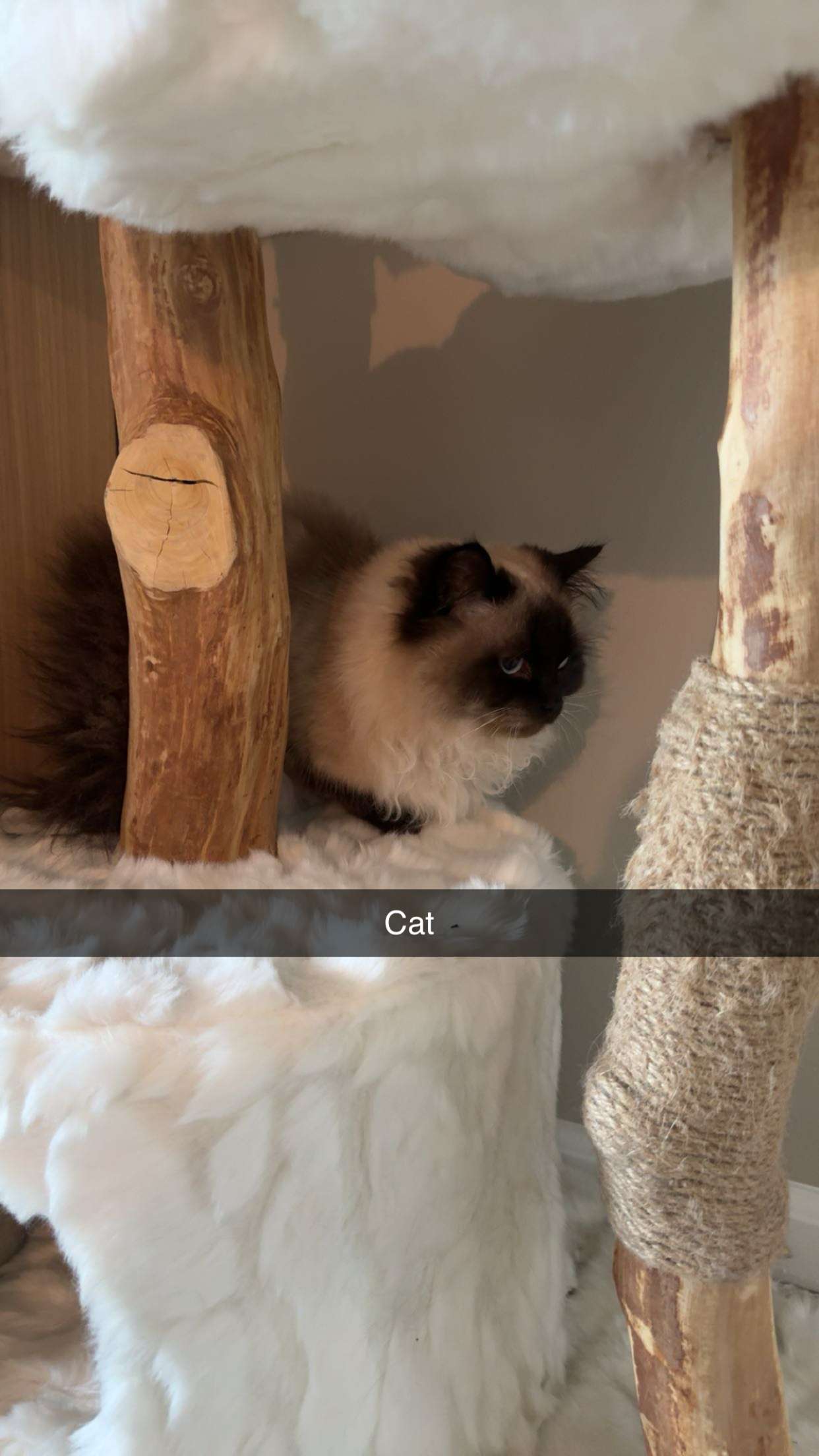 carmmieecat snapchat image archive image