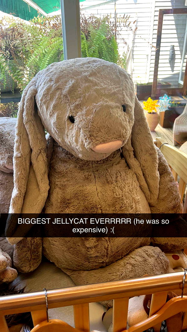 carmmieecat image ~ Altpins