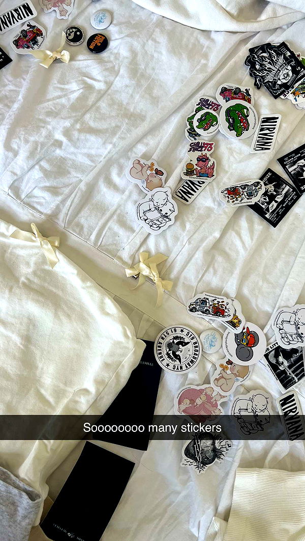 carmmieecat image ~ Altpins