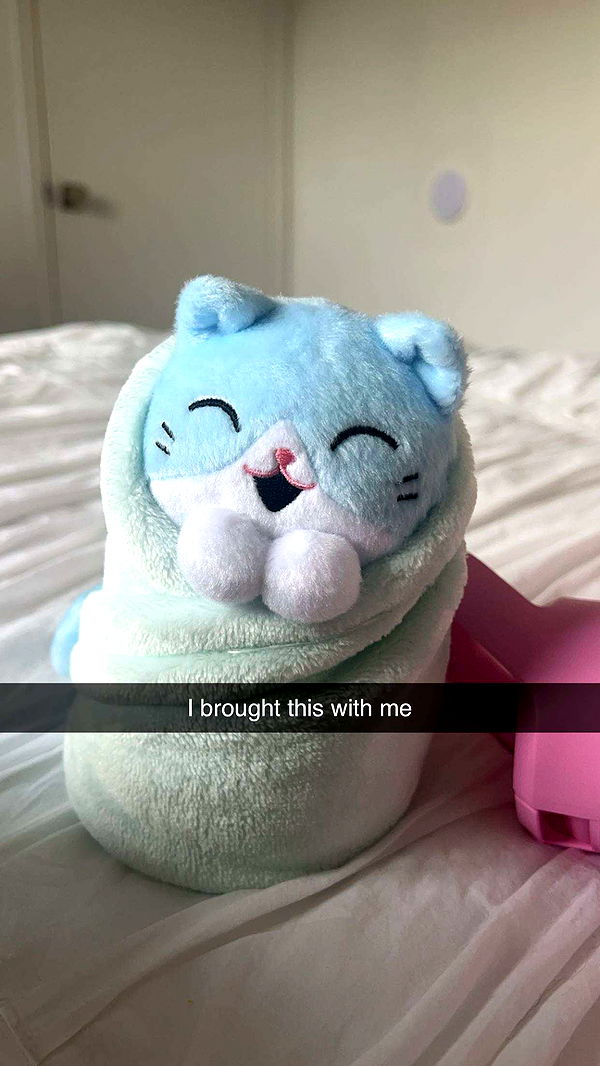 carmmieecat image ~ Altpins