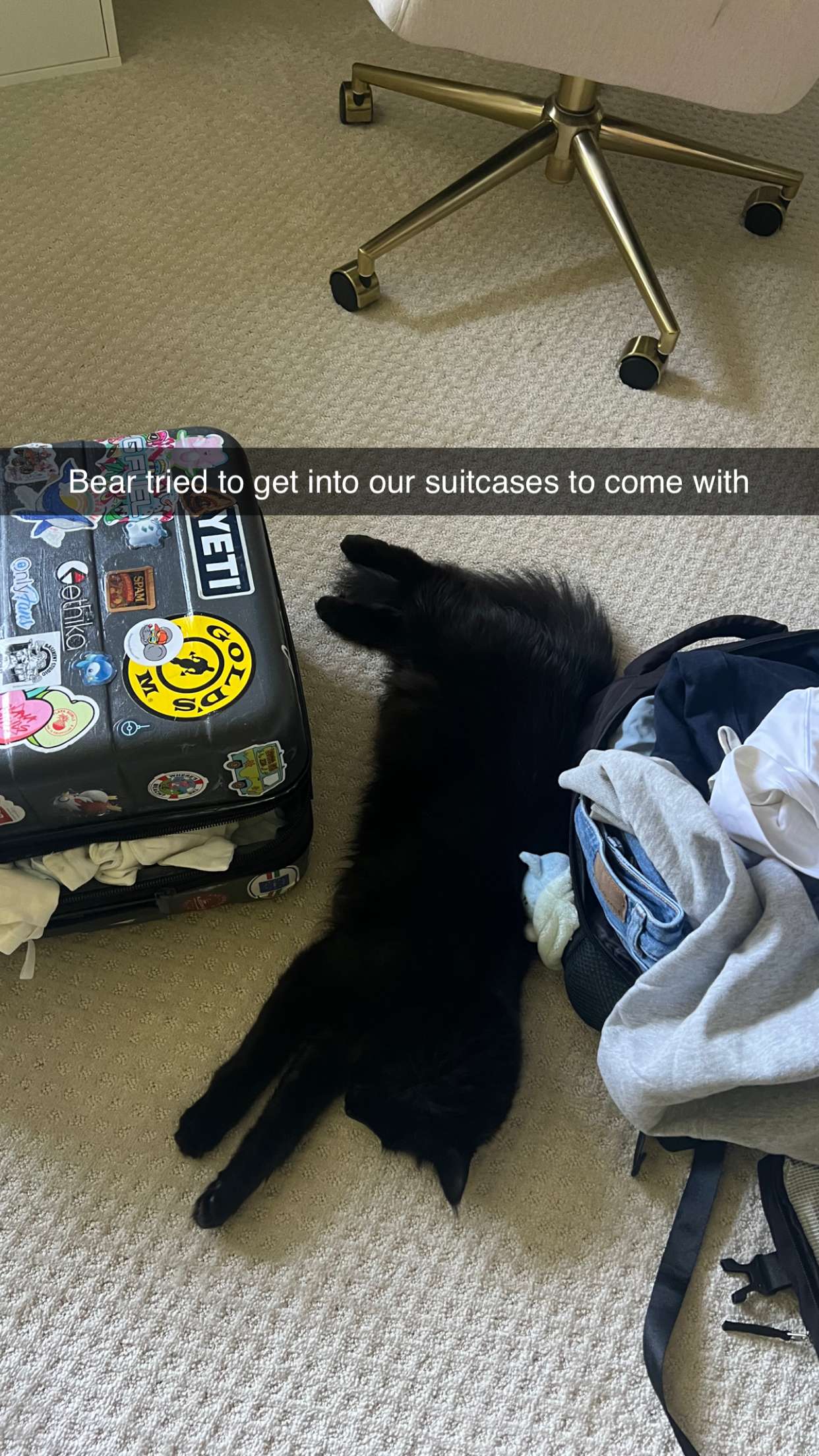 carmmieecat snapchat image archive image