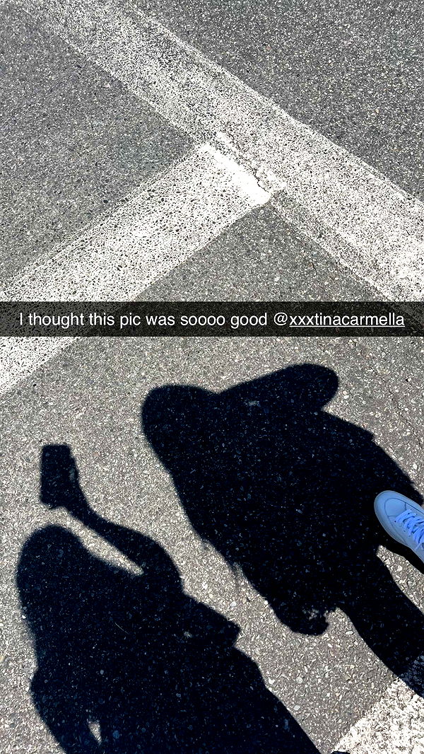 carmmieecat image ~ Altpins