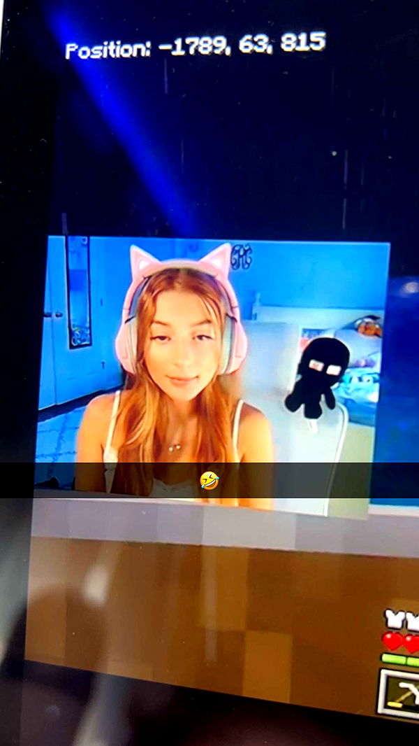 carmmieecat image ~ Altpins