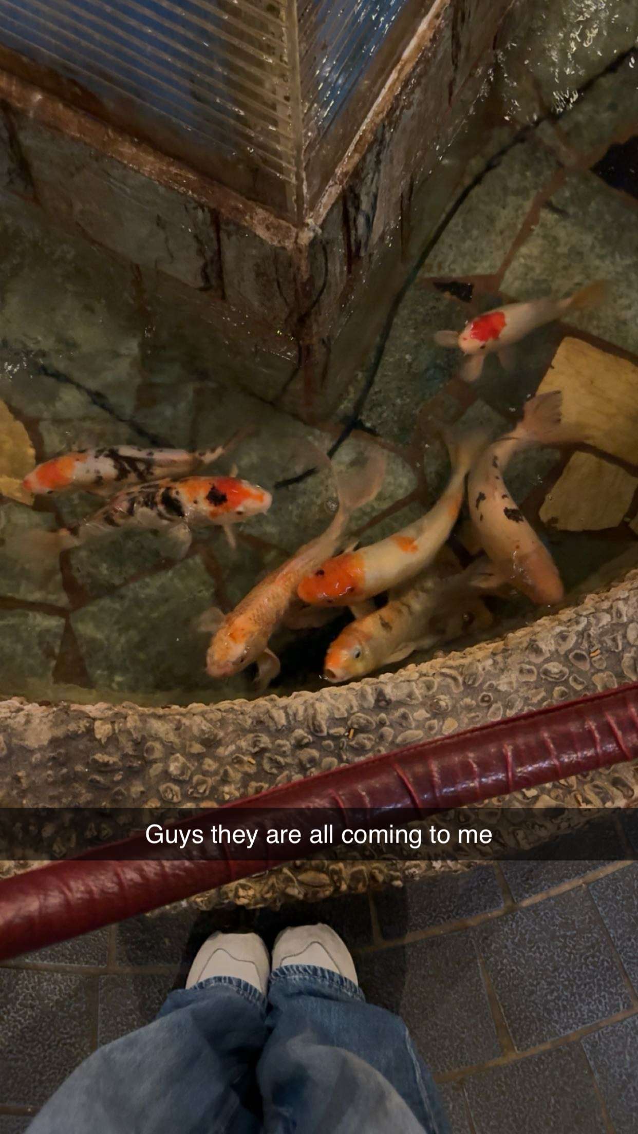 carmmieecat snapchat image archive image