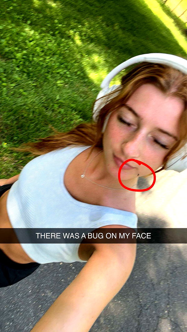 carmmieecat image ~ Altpins