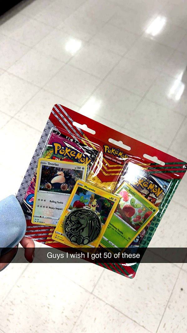 carmmieecat image ~ Altpins