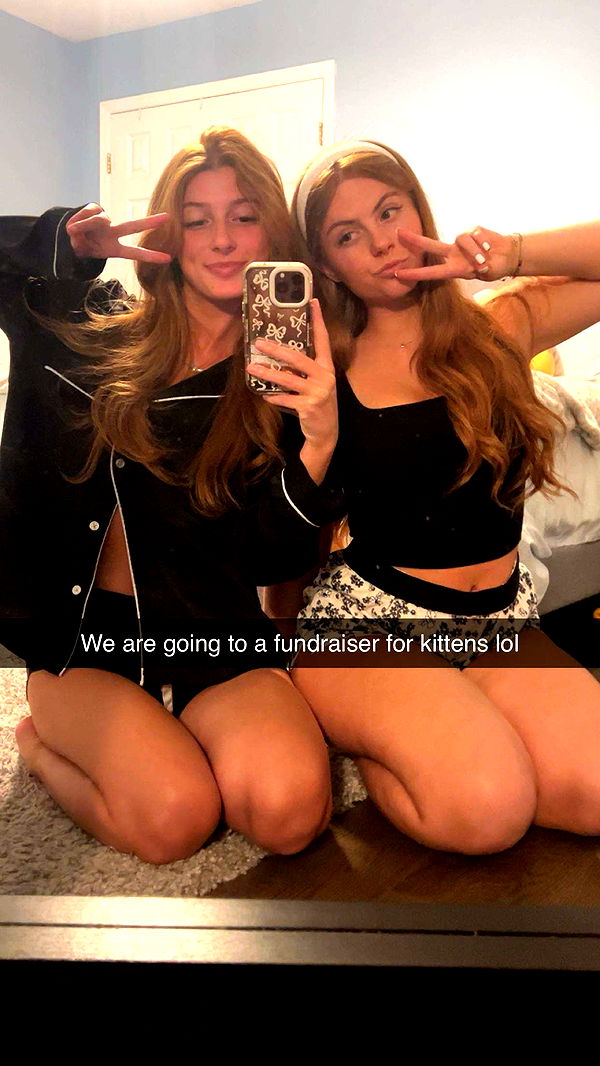 carmmieecat image ~ Altpins