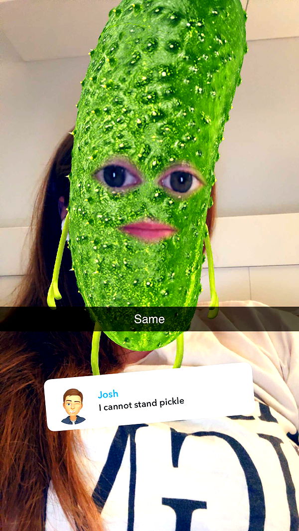 carmmieecat image ~ Altpins