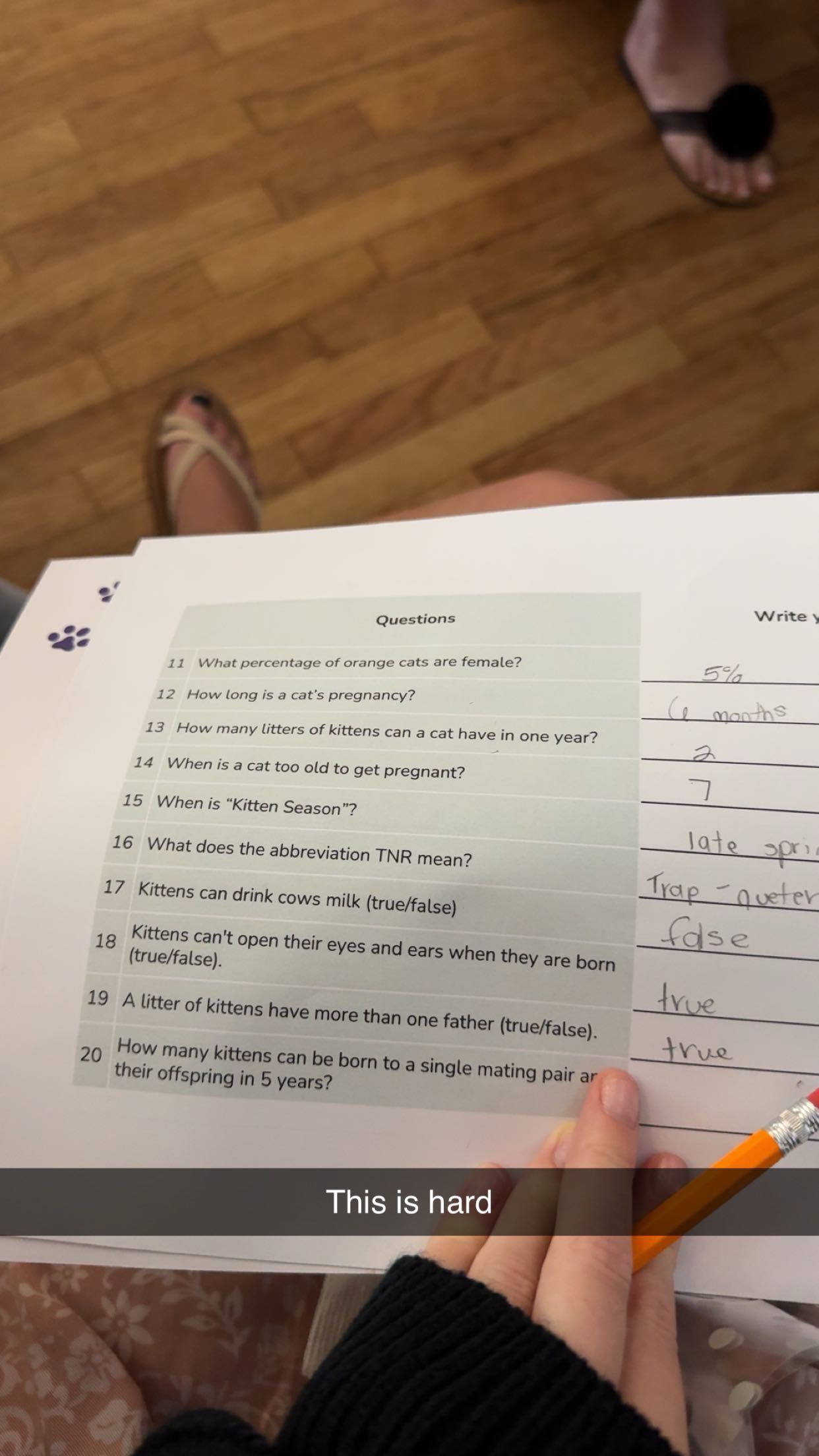 carmmieecat snapchat image archive image