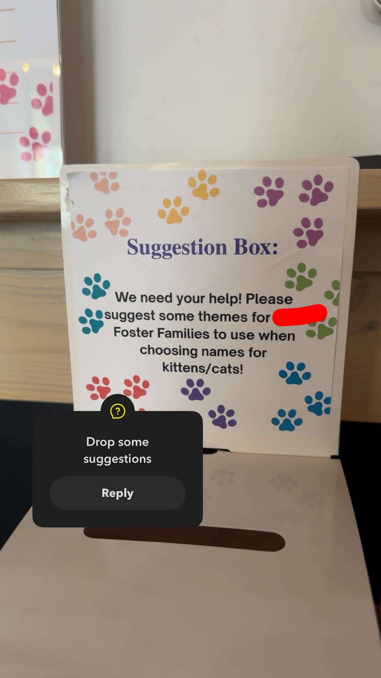 carmmieecat snapchat image archive image