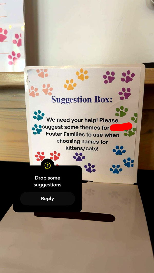 carmmieecat image ~ Altpins