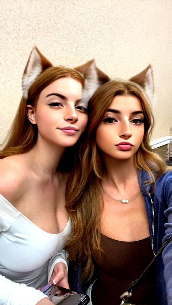 carmmieecat image ~ Altpins