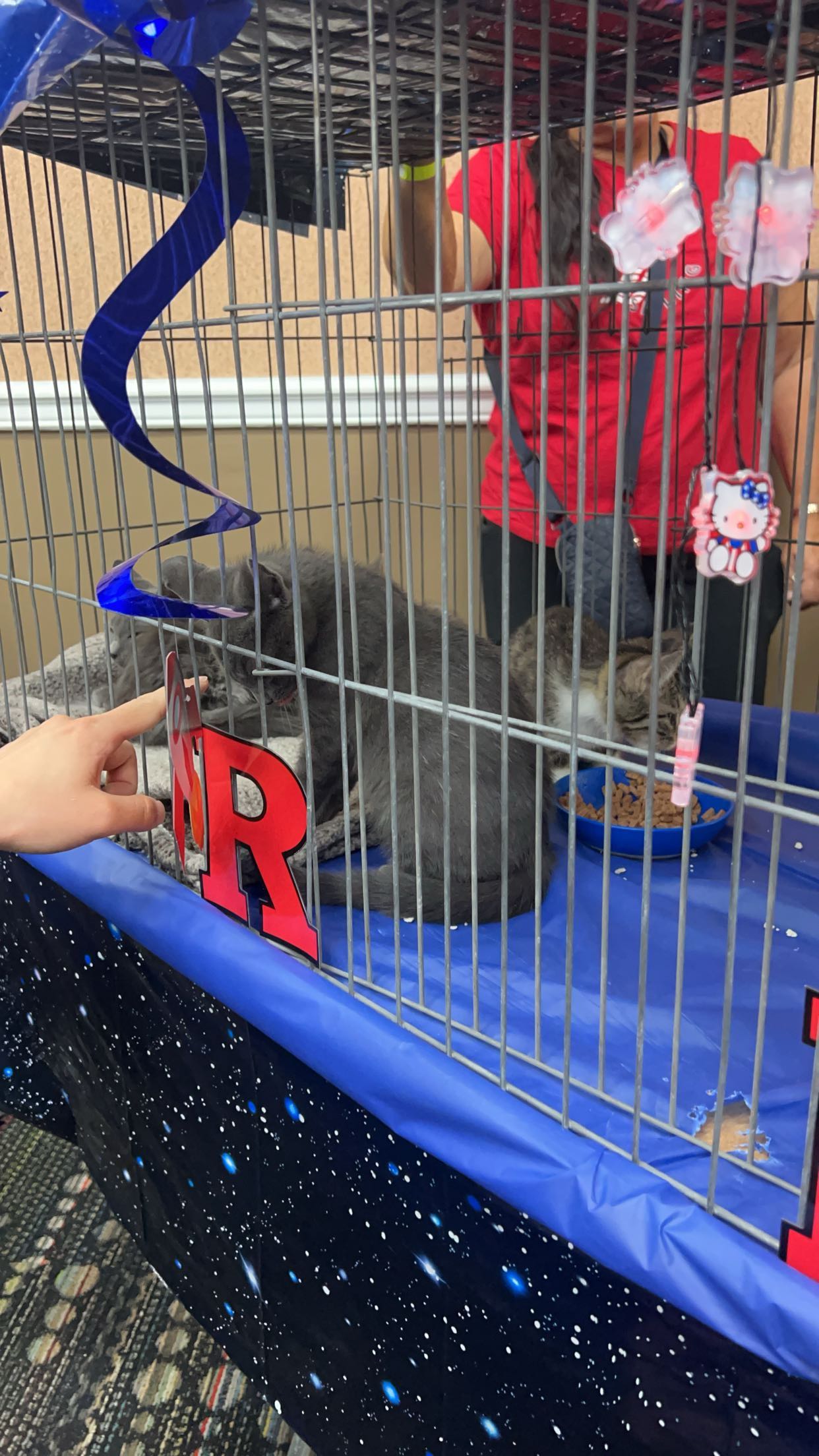 carmmieecat snapchat image archive image