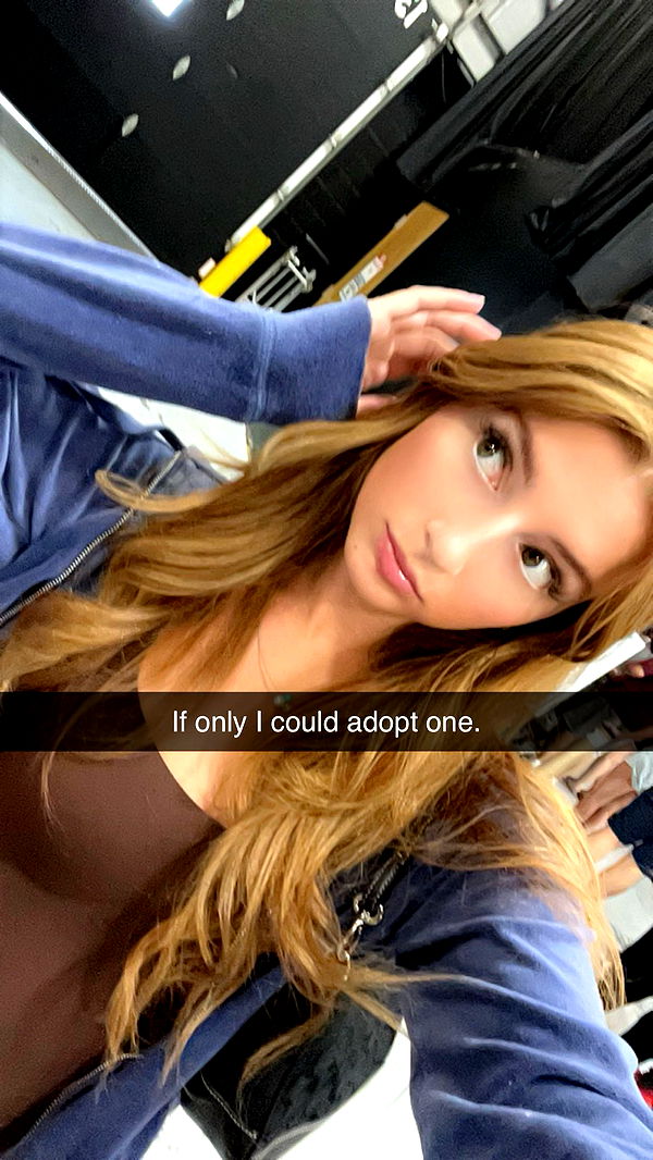 carmmieecat image ~ Altpins