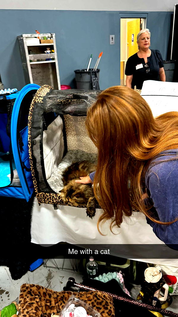 carmmieecat image ~ Altpins