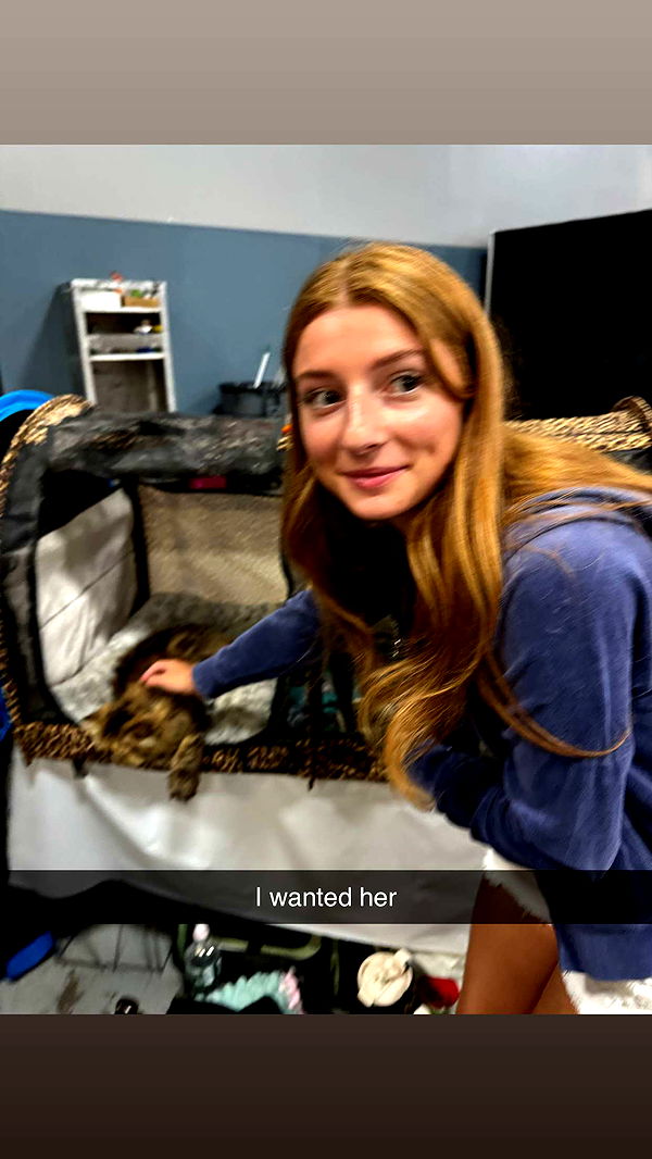 carmmieecat image ~ Altpins