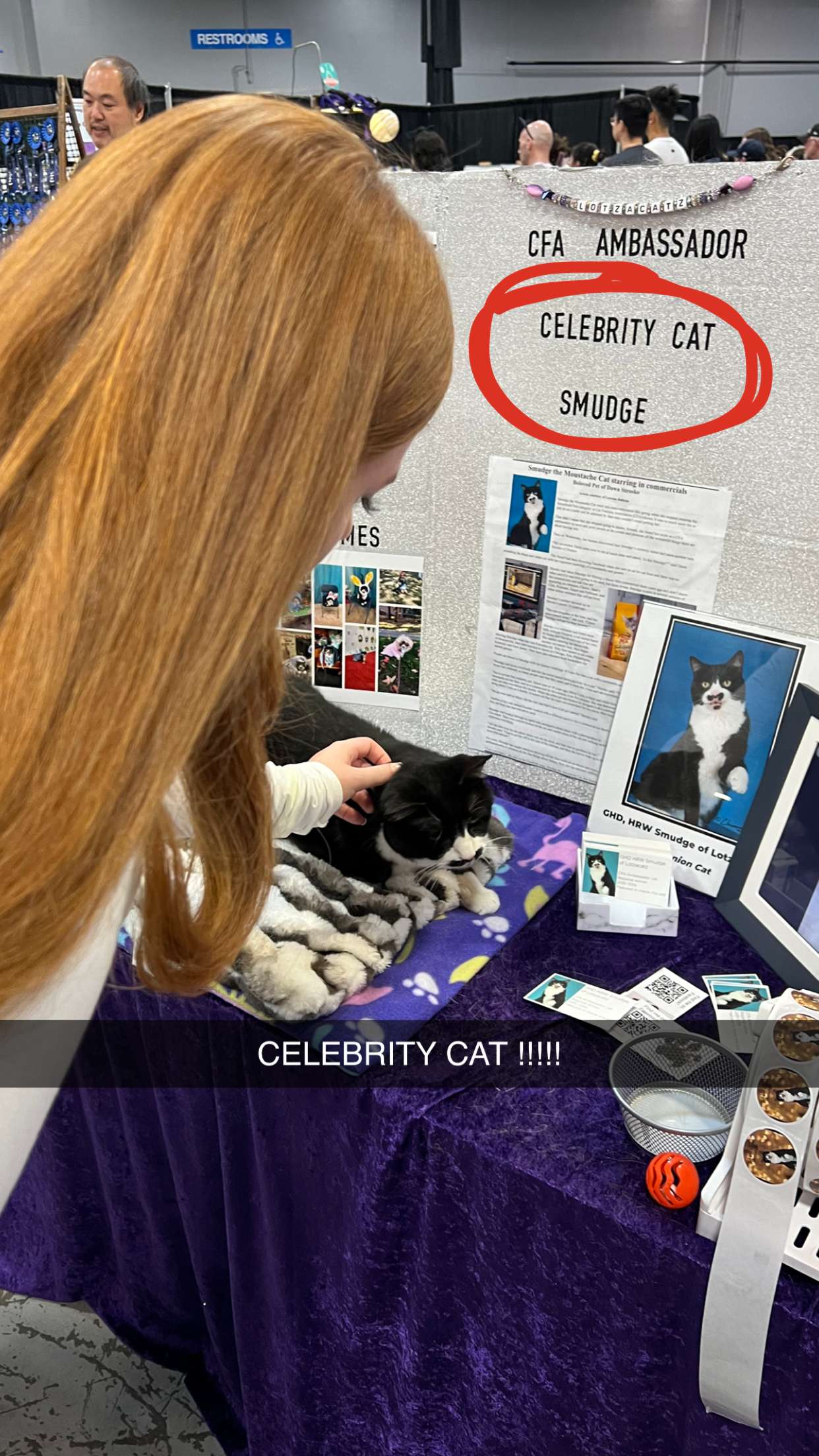 carmmieecat snapchat image archive image