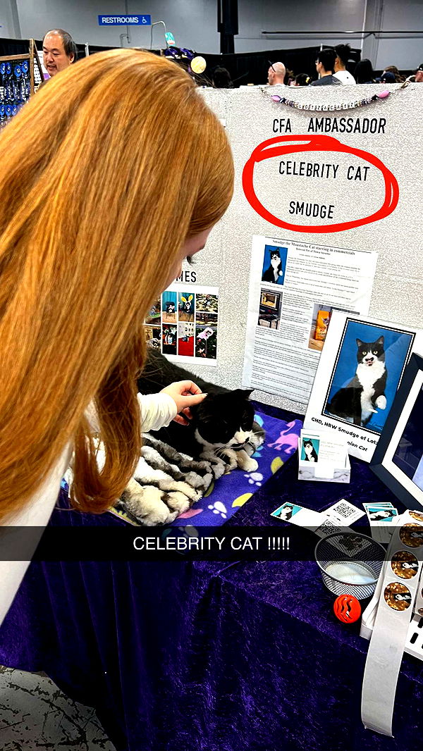 carmmieecat image ~ Altpins