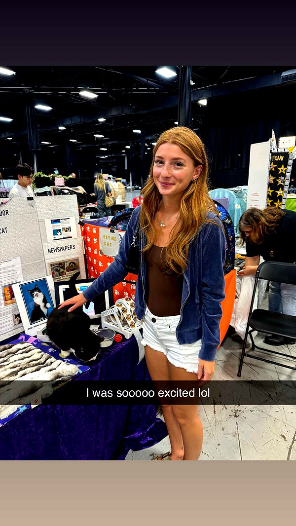 carmmieecat image ~ Altpins