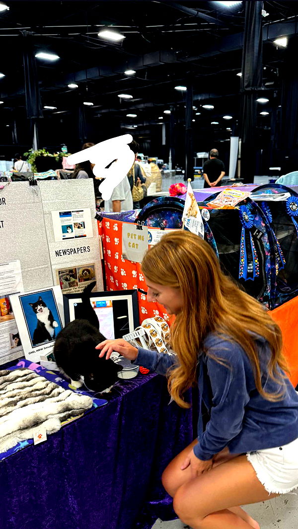 carmmieecat image ~ Altpins