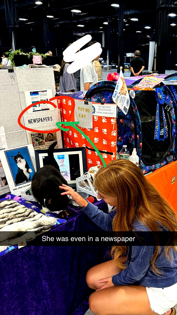 carmmieecat image ~ Altpins