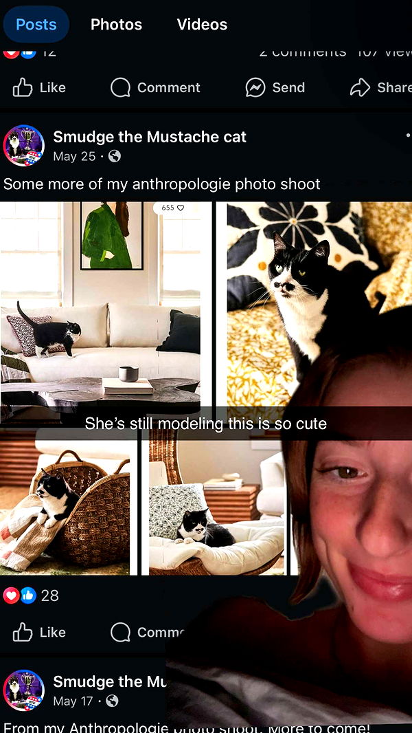 carmmieecat image ~ Altpins