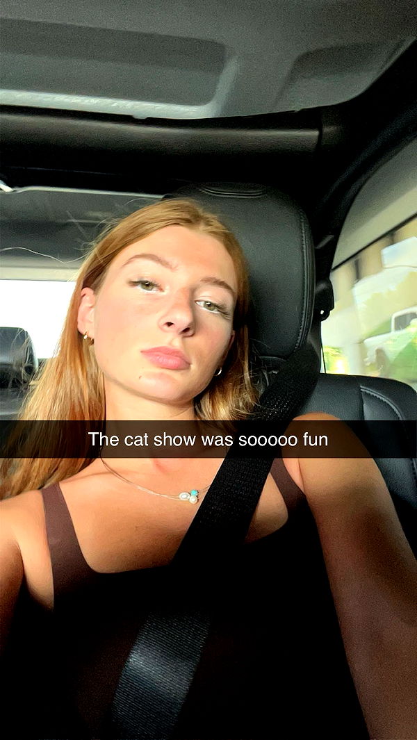 carmmieecat image ~ Altpins