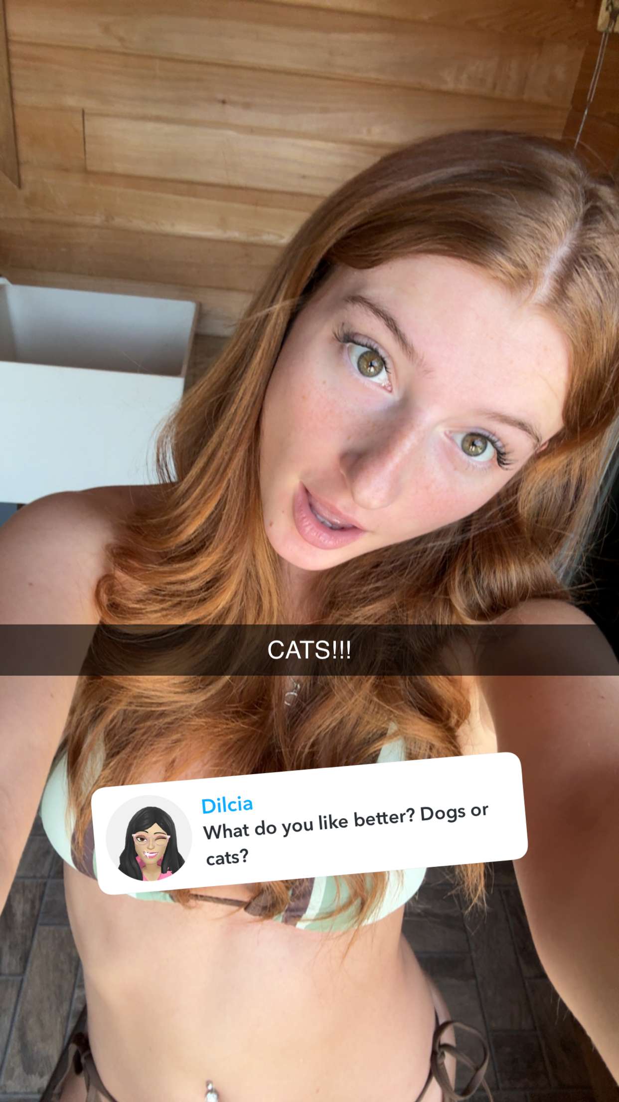 carmmieecat snapchat image archive image