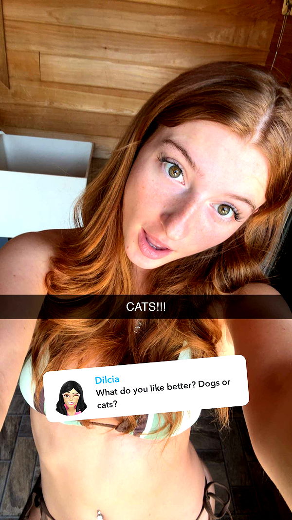 carmmieecat image ~ Altpins