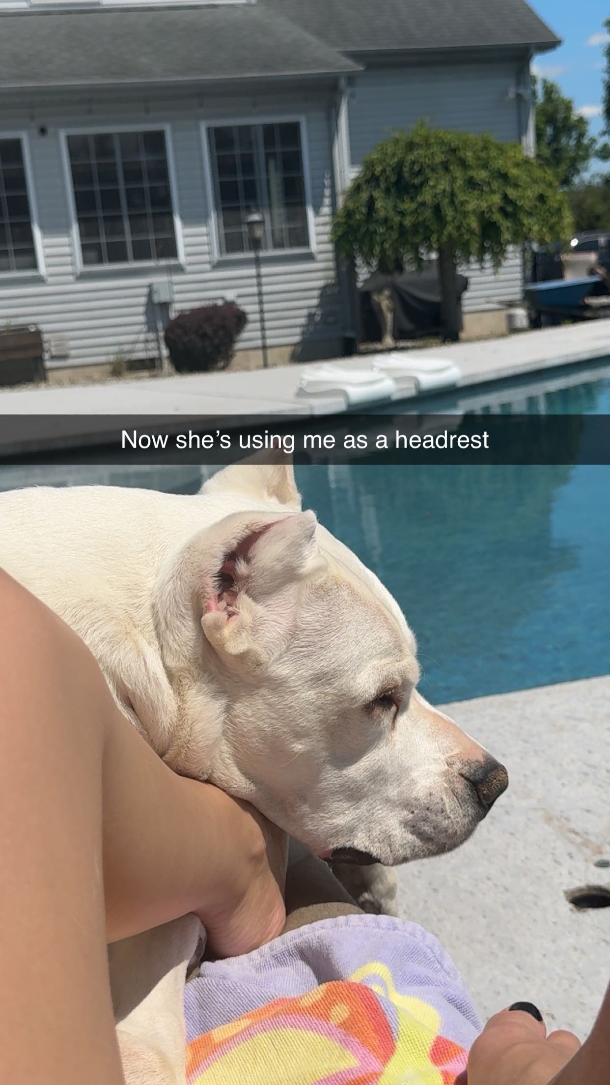 carmmieecat snapchat image archive image