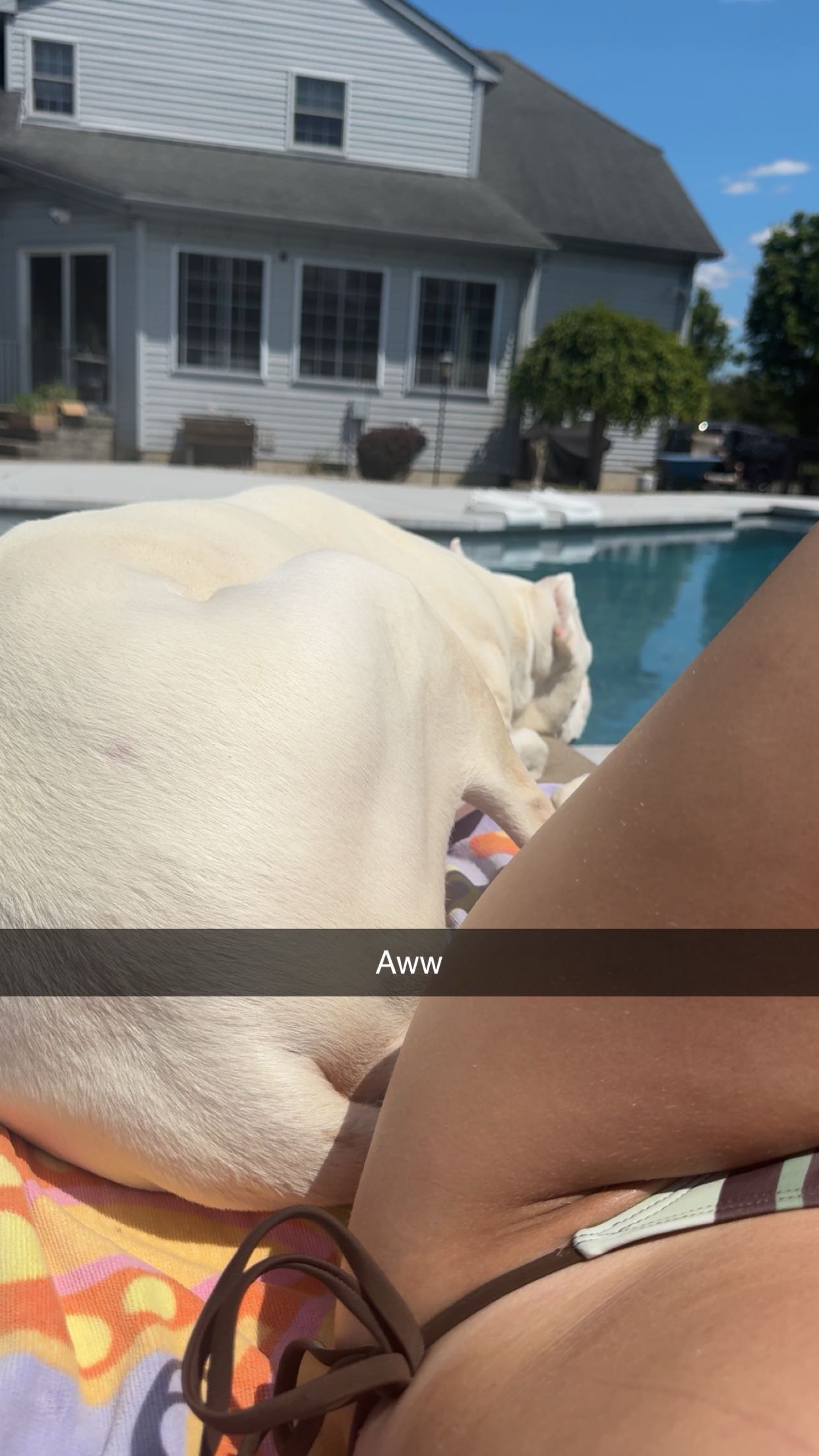 carmmieecat snapchat image archive image