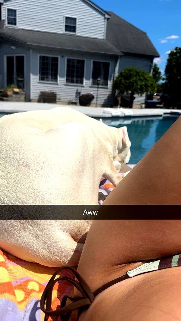 carmmieecat image ~ Altpins