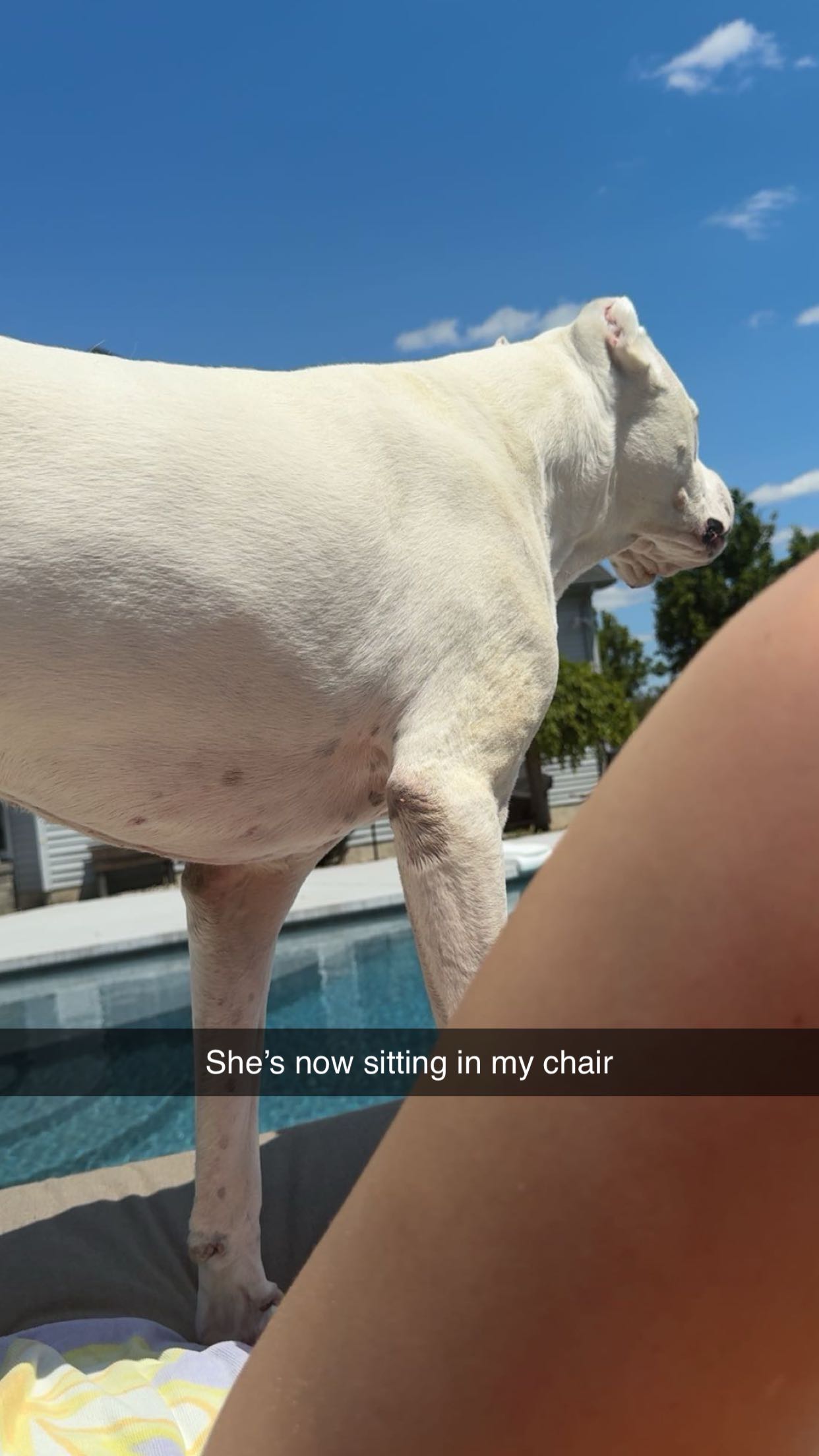 carmmieecat snapchat image archive image