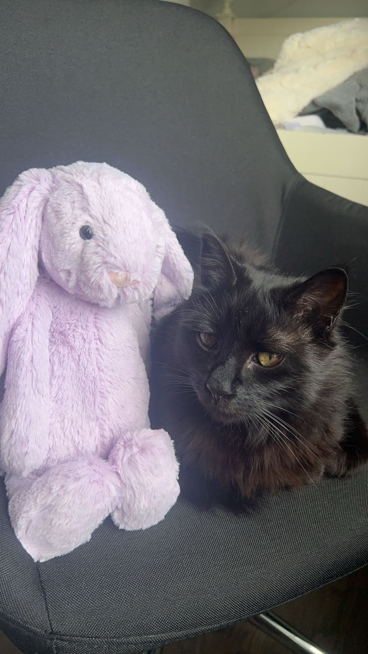 carmmieecat snapchat image archive image