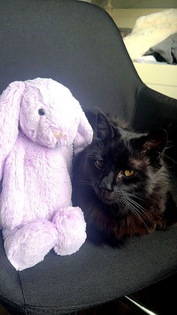 carmmieecat image ~ Altpins